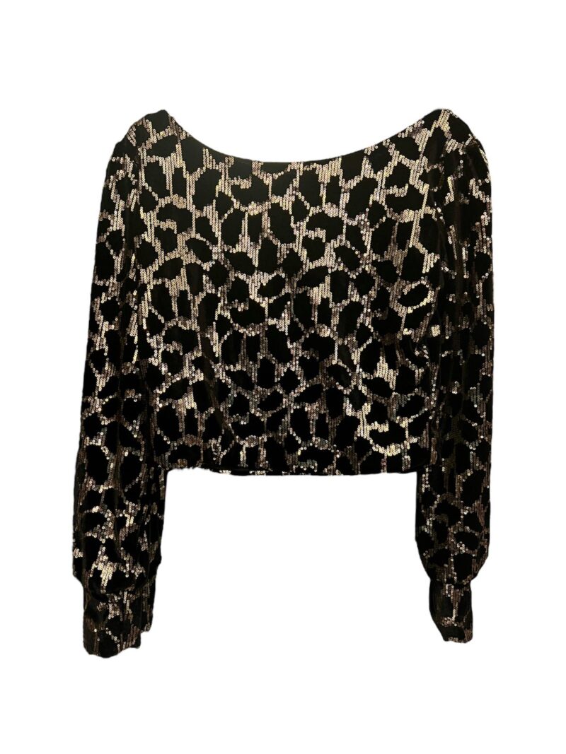 Sequin Velvet Top