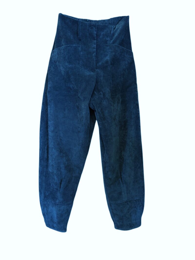 Riona Corduroy Pants - Blue