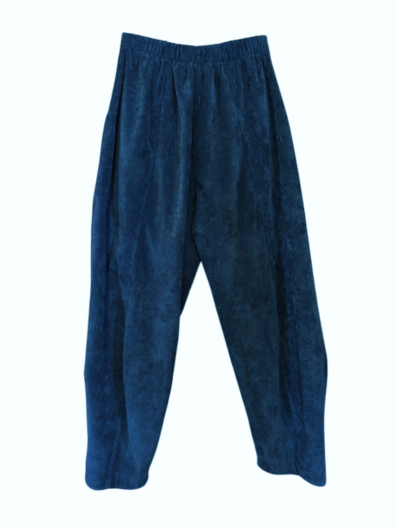 Riona Corduroy Pants - Blue - Image 2